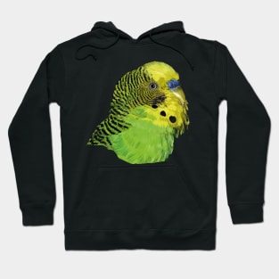 Australian parakeet Hoodie